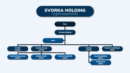 Svorka Holding Org kart.png