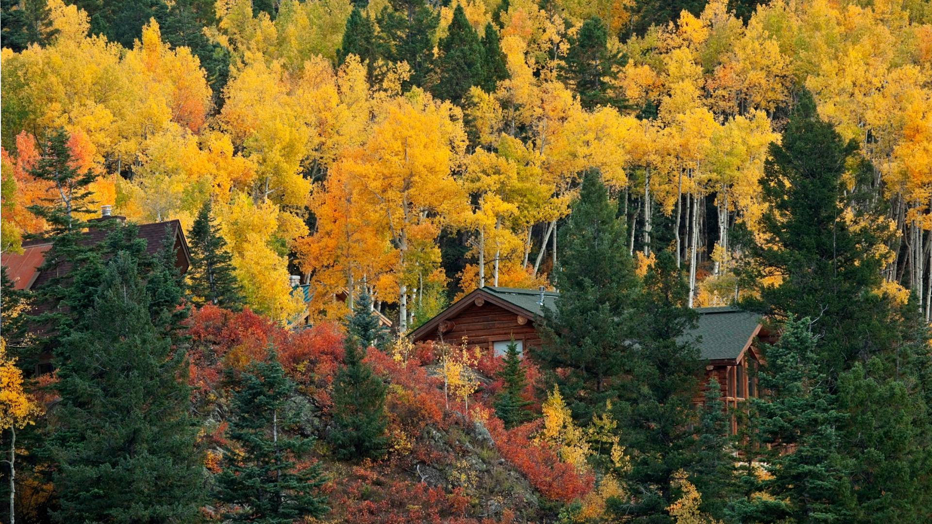 Internett og TV i Solberglia og Ryskdalen hytteområde.png