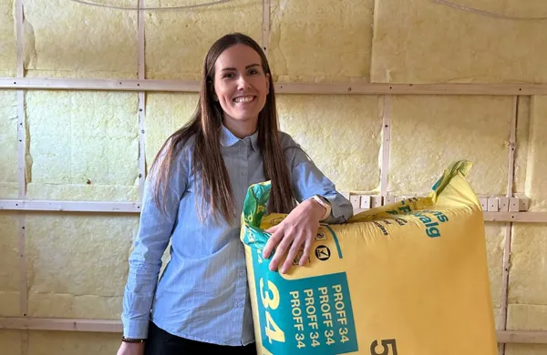 Etterisoler huset Siljes strømsparetips - etterisoler huset.png