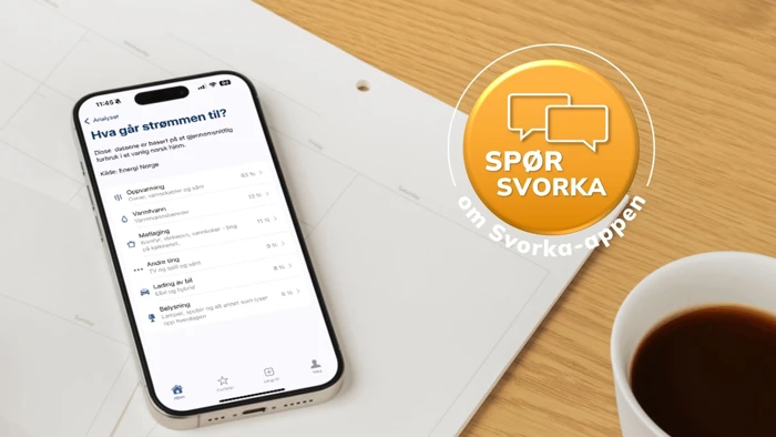 Hva går strømmen til (2).jpg